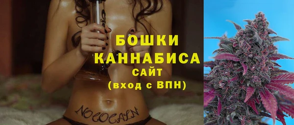 Альфа ПВП Бородино