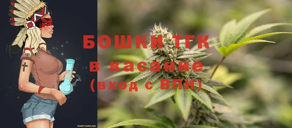 Альфа ПВП Бородино