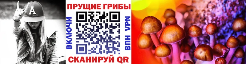 blacksprut онион  наркотики  Городовиковск  Псилоцибиновые грибы прущие грибы 